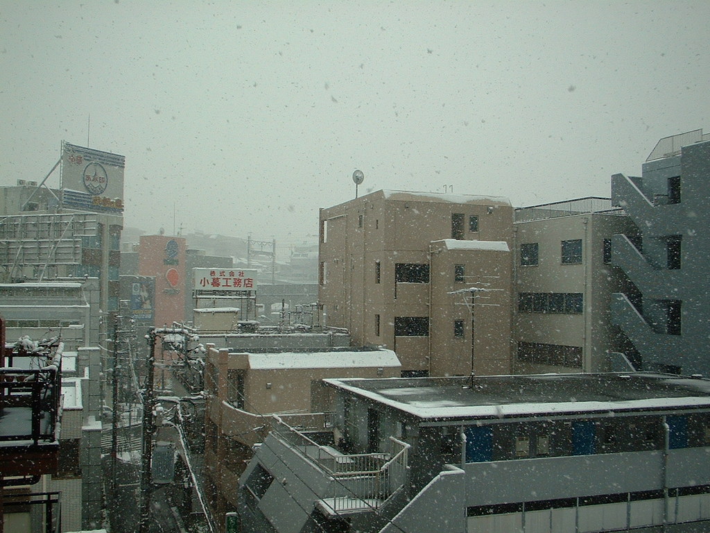 20060121.jpg