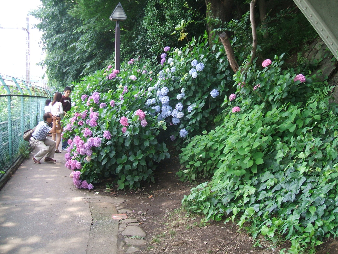 dscf0002-small.jpg