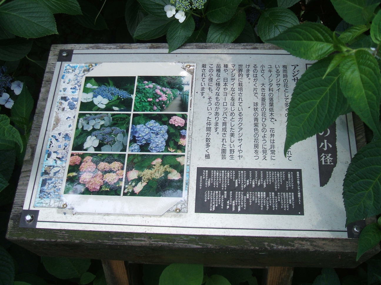 dscf0004-small.jpg