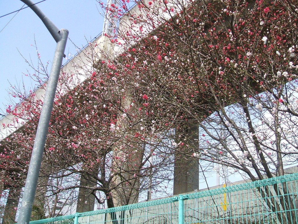 dscf0001-small.jpg