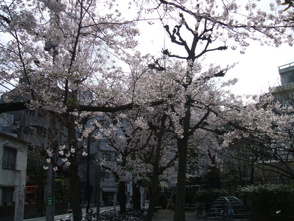 dscf0003-small.jpg