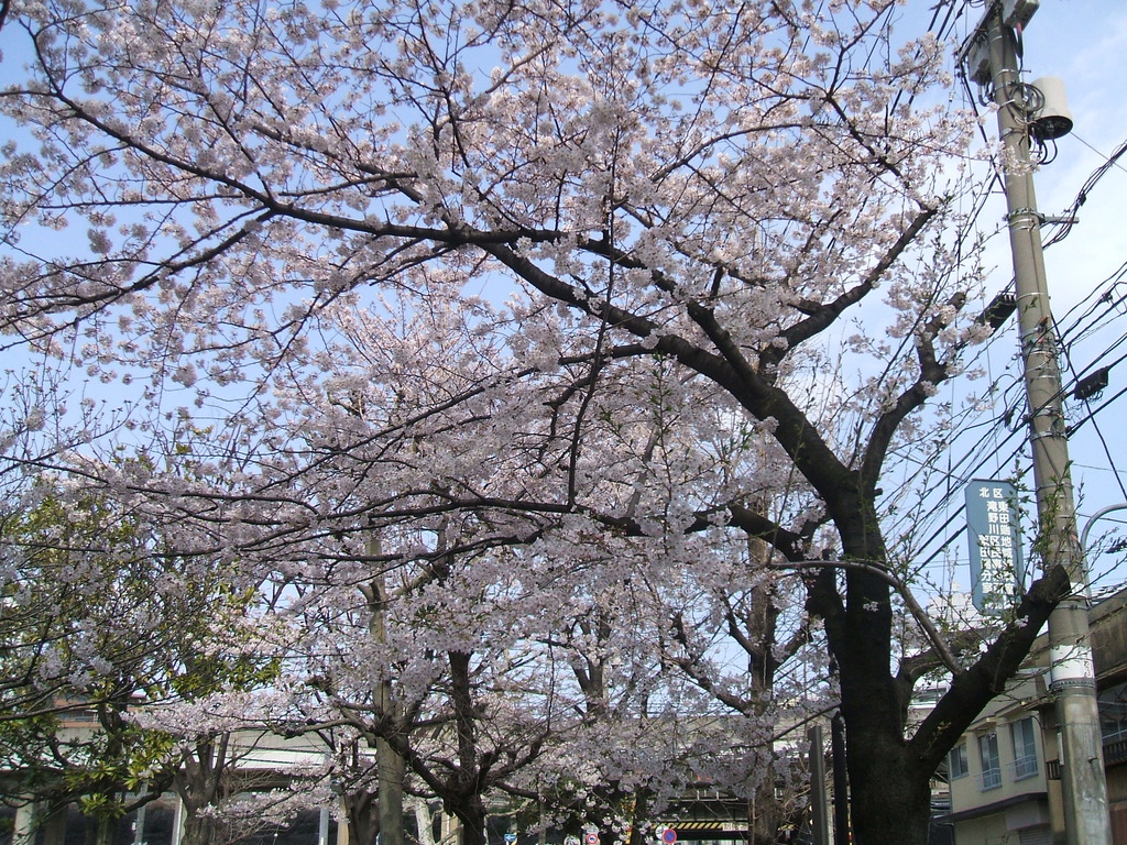 dscf0005-small.jpg
