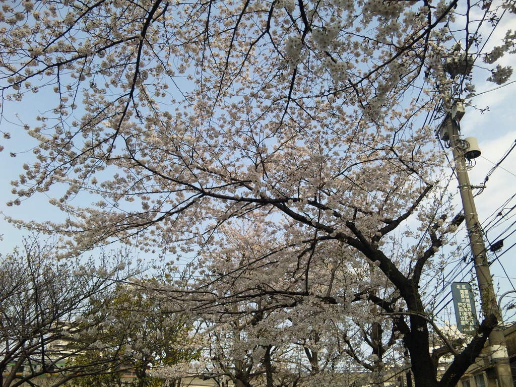 sh3e0003-small.jpg